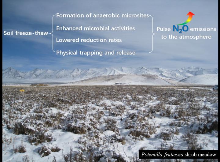 Soil Freeze-Thaw