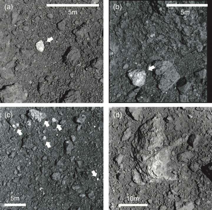Surface rocks