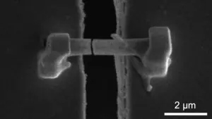 Why do lithium-ion batteries fail? Scientists find clues in
microscopic metal 'thorns'