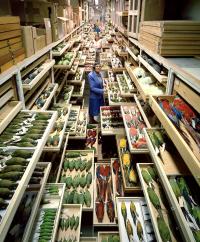 The Smithsonian's bird collection at the National Museum of Natural History in Washington, D.C.