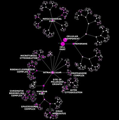 Ideker Graphic