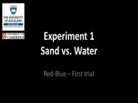 Example Trials for Each of the 6 Experiments