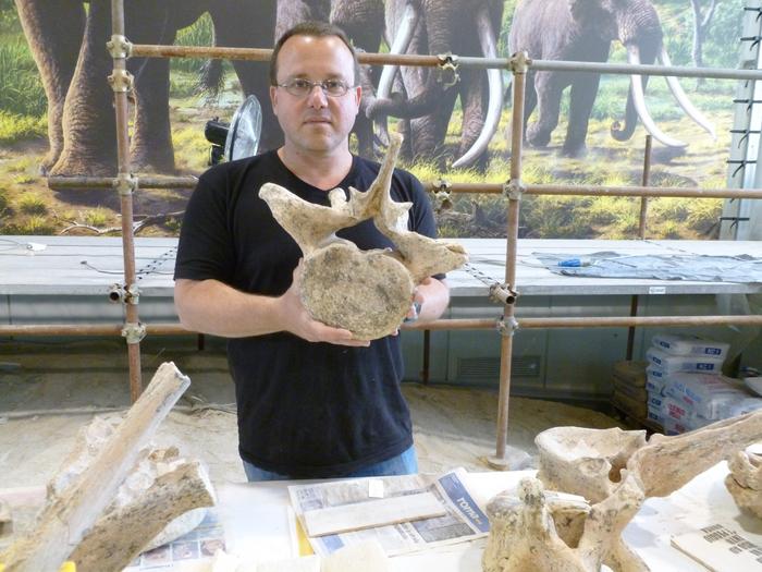 Ran Barkai holds a segment of an ancient elephant at the La Polledrara site in Italy.