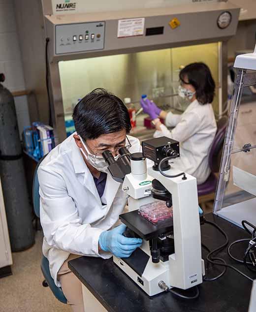 K-State virologists publish new findings on SARS-CoV-2 treatment option -- photo