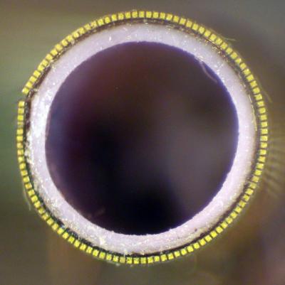 3-D Transducer