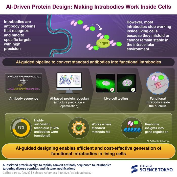 AI-Driven Protein Design: Making Antibodies Work Inside Cells