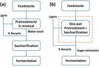 1-Pot Biomass Processing System
