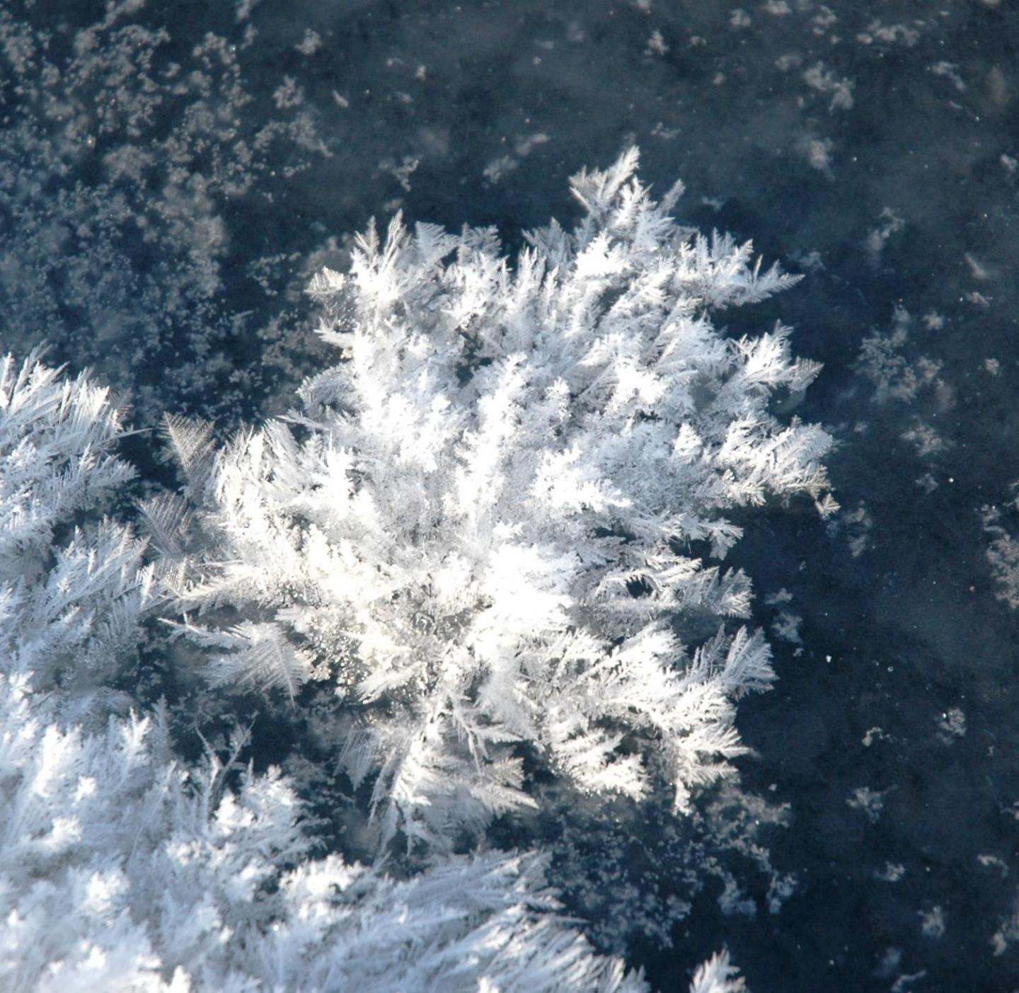 Frost Flower