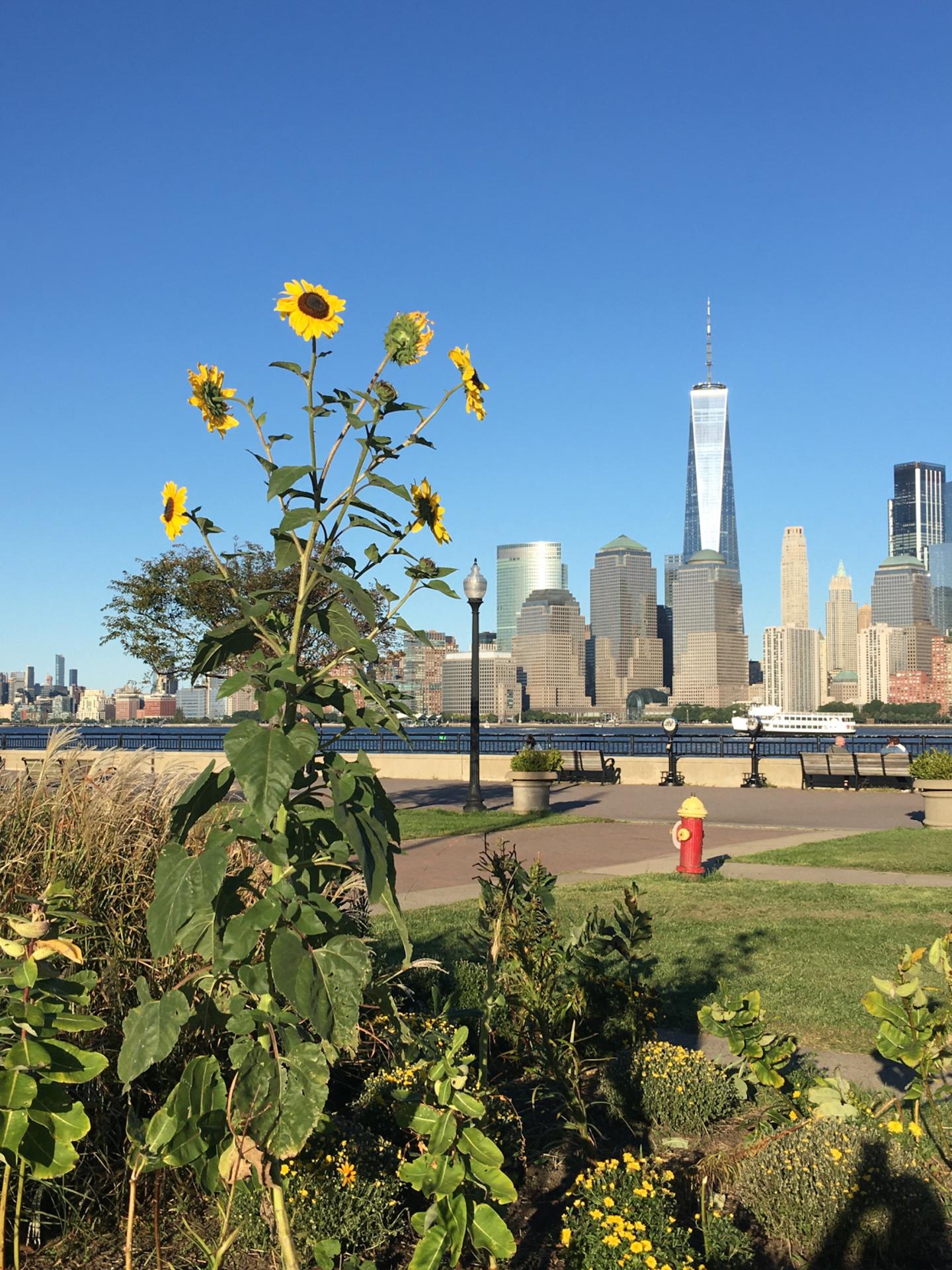 New Jersey and New York City