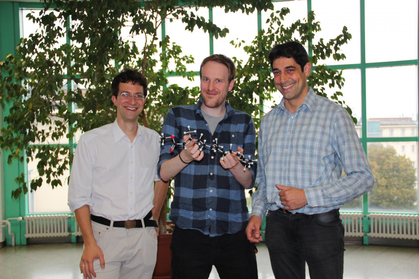Members of the Research Platform