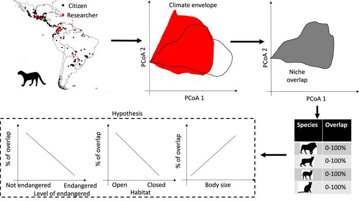 Graphical Abstract