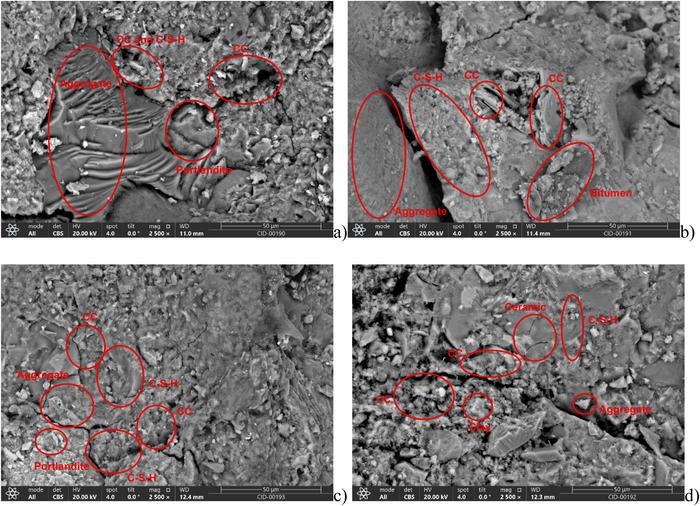 Microstructure of recycled aggregate concrete observed through scanning electron microscopy (SEM).