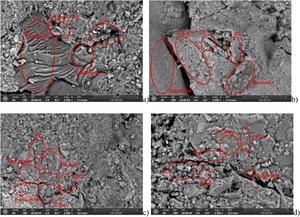 Microstructure of recycled aggregate concrete observed through scanning electron microscopy (SEM).