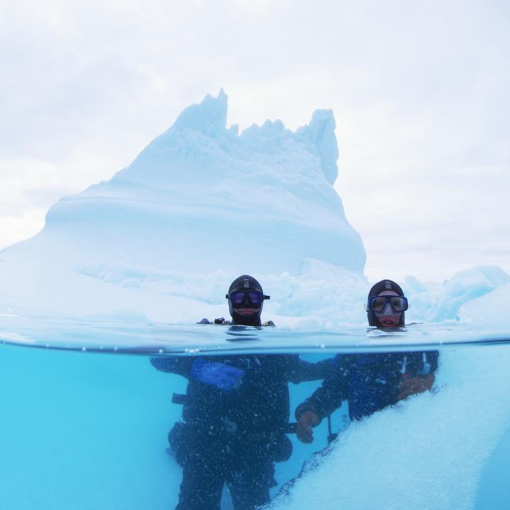 Authors in water