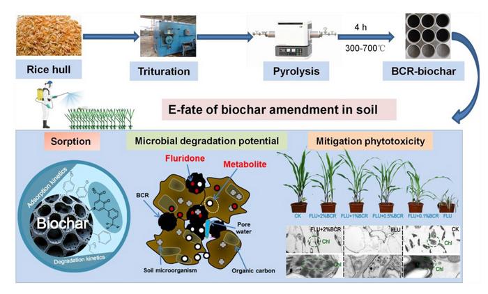Biochar enhances the sorption and degradation of fluridone and its main metabolite in soil: insights into biodegradation potential and remediation of microbial communities