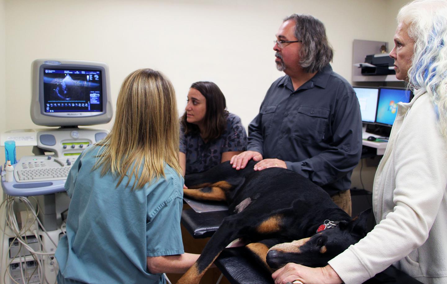 Cardiology Exam on Doberman
