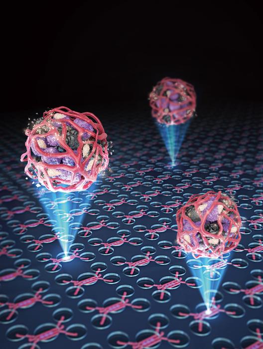 Illustration of a tumor on a chip