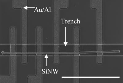 NIST Nanowire Manipulation Technique