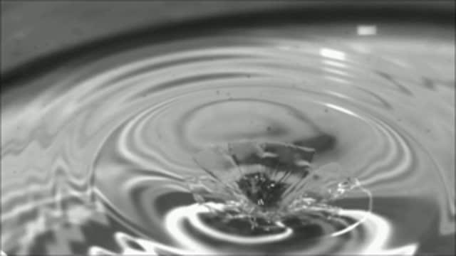 High Speed Drop Imaging