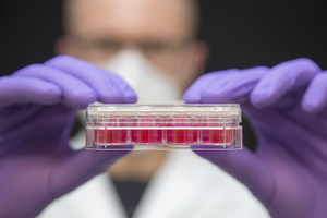 Artificial heart tissue