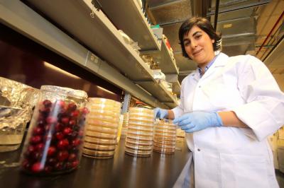 Cranberry Research