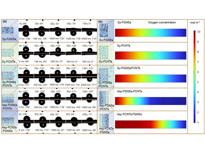Wettability and O2 transport investigation