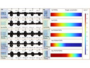 Wettability and O2 transport investigation