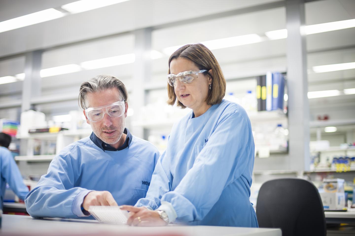 Dr. Axel Kallies and Dr. Diana Hansen, Walter and Eliza Hall Institute