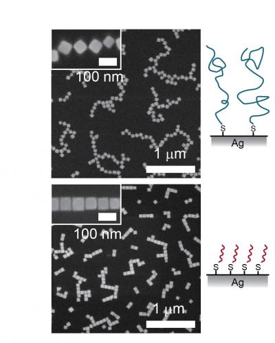 Self-Assembling Nanocubes