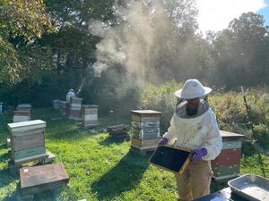 Bee Keepers at UVM