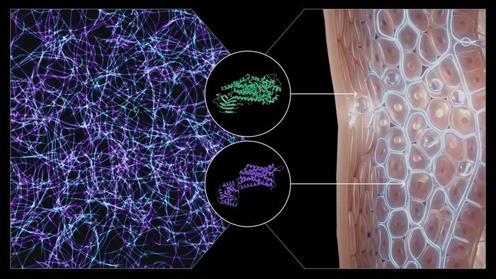 Surprising drug targets for psoriasis emerge from comprehensive CRISPR study of human skin cells