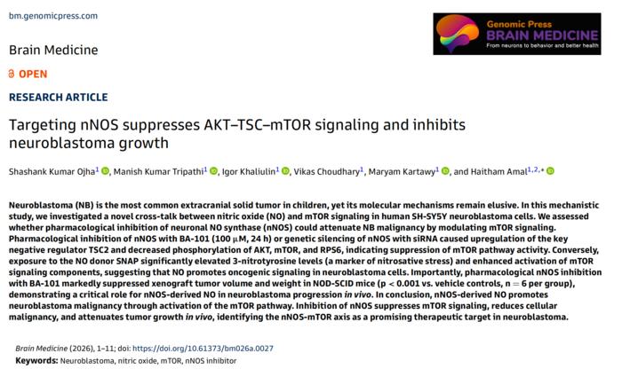 Targeting nNOS suppresses AKT–TSC–mTOR signaling and inhibits neuroblastoma growth