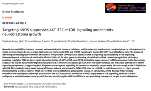 Targeting nNOS suppresses AKT–TSC–mTOR signaling and inhibits neuroblastoma growth