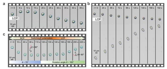 Figure 3 | Experiment observation of rotation freezing and lateral drift.