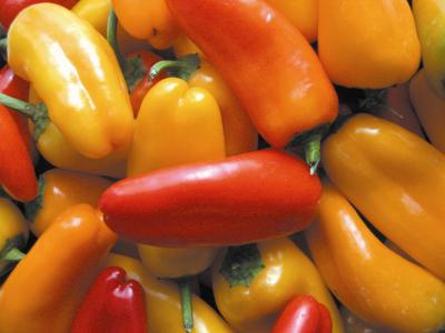 Chili Peppers’ Archaeological Past Dug Up