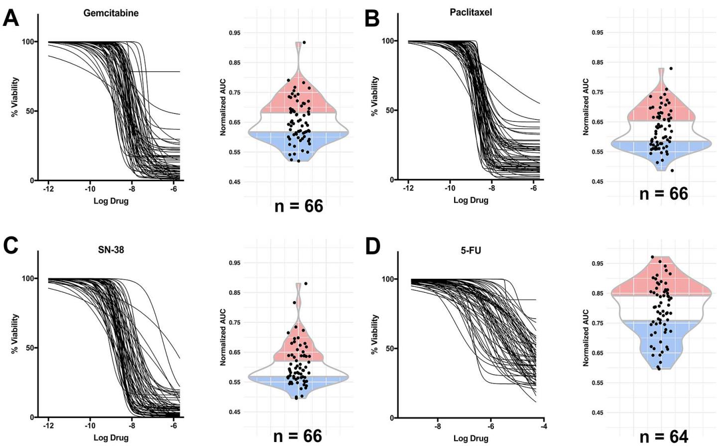 Finding Which Cancers Respond to Which Drugs