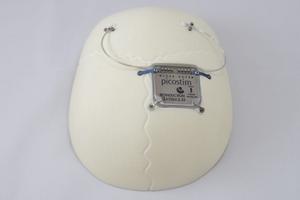 Picostim neurostimulator on skull