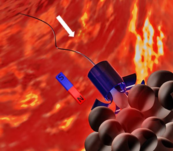 Harnessing sperm to treat gynecological diseases