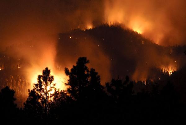 Wildfire