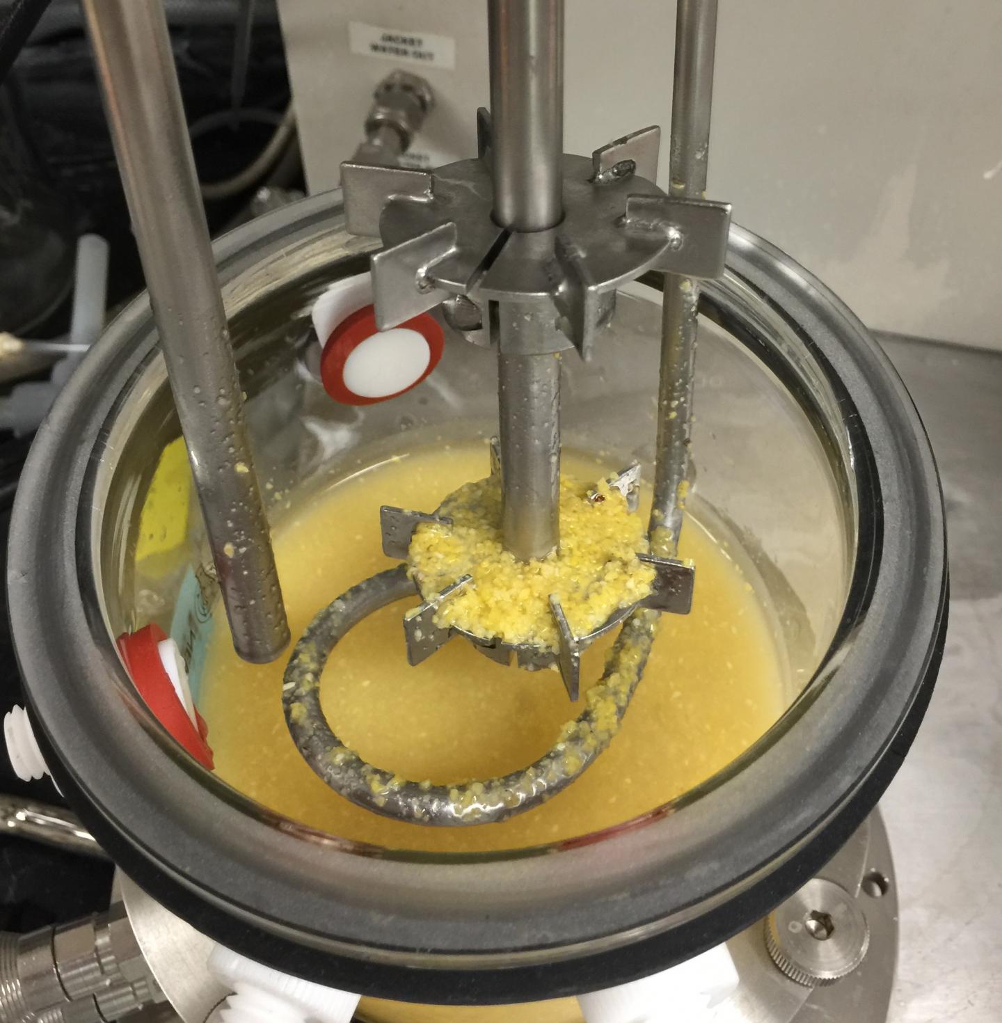 Skip the Antibiotics When Making Biofuels (2 of 3)