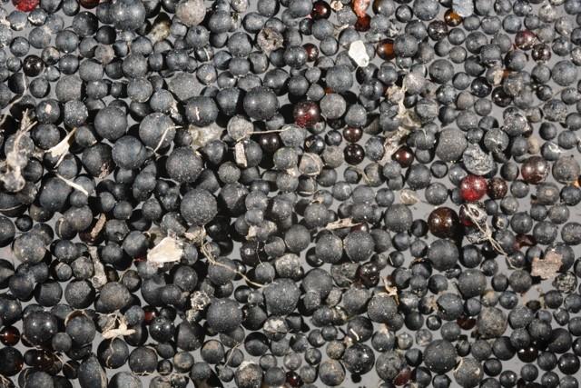 Microplastics