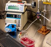 Bioreactor