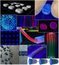 Protein Patterns 
