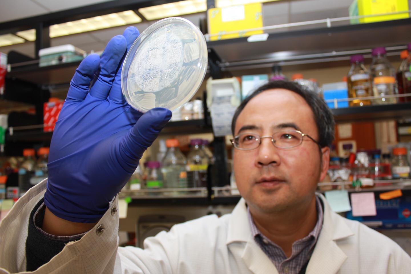 Xiaofeng Wang, Virginia Tech