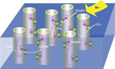 Artificial Photosynthesis System