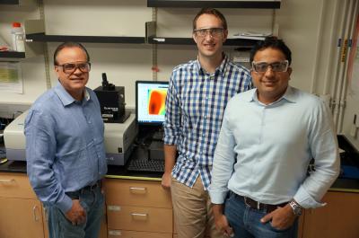 Steve DenBaars, Jakoah Brgoch and Ram Seshadri, University of California - Santa Barbara 