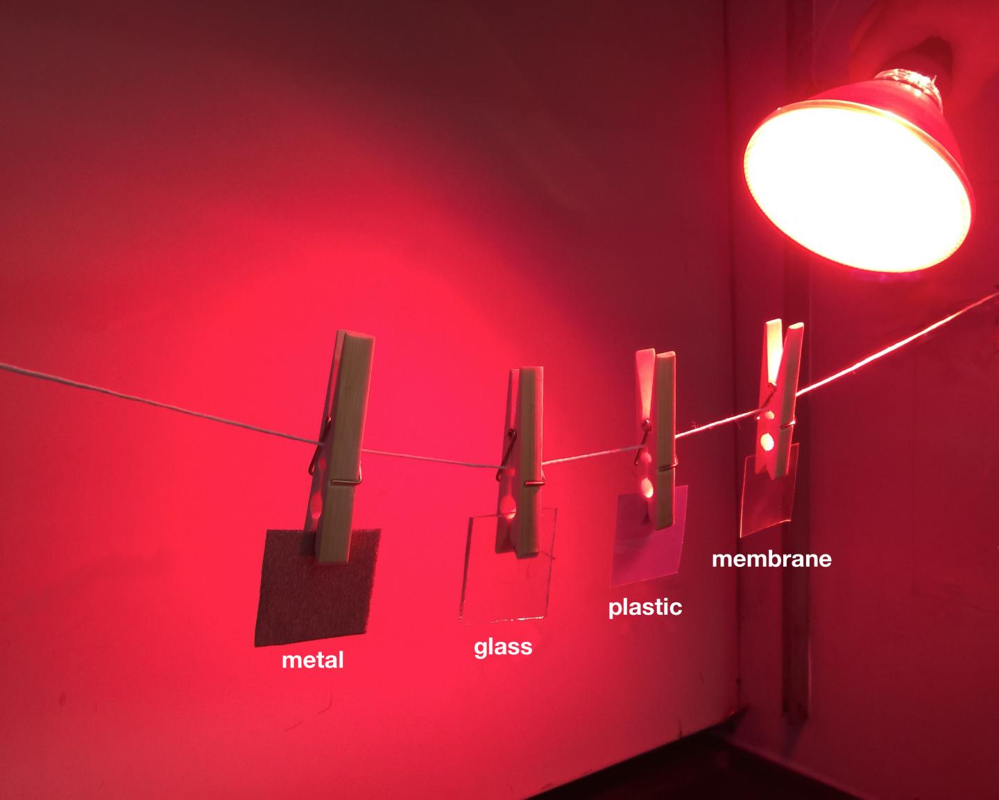 Catalytic Films