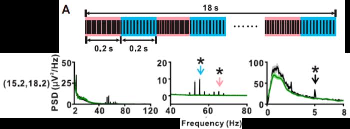 图2 延长的转换脉冲序列中猕猴ECoG信号所示的TIDS现象