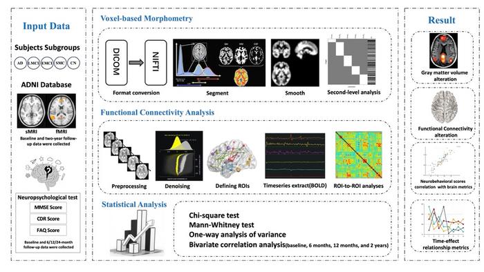 A comprehensive graphical summary of the proposed work