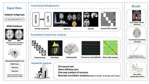 A comprehensive graphical summary of the proposed work